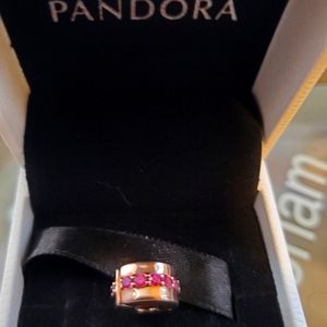 Pandora clip charm